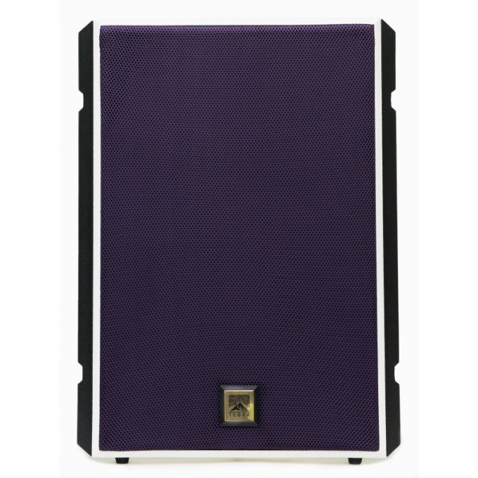 Настенный громкоговоритель 50 Вт, тонкий корпус 55 мм TEFRA TEFRA-ETNA